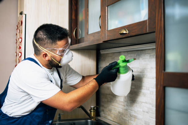 Best Exterminator Services  in Jacksboro, TX