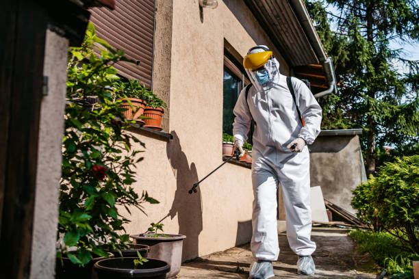 Best Termite Control Services  in Jacksboro, TX