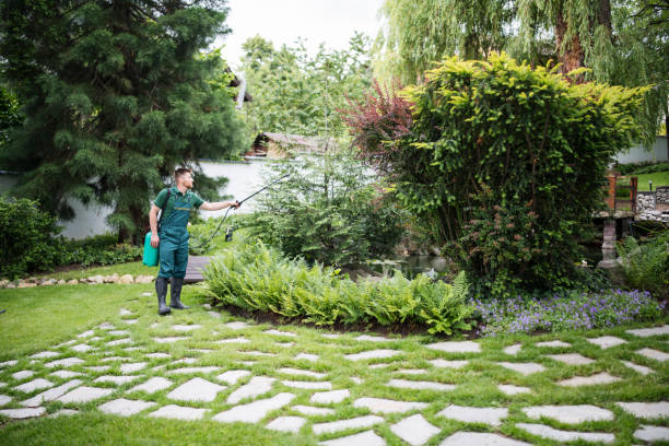 Best Pest Prevention Services  in Jacksboro, TX