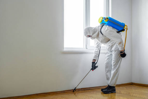 Best Bed Bug Extermination  in Jacksboro, TX