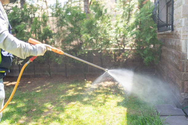 Trusted Jacksboro, TX Pest Control Experts