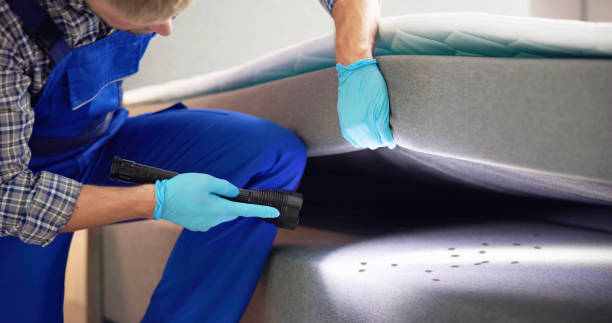 Best Pest Prevention Services  in Jacksboro, TX